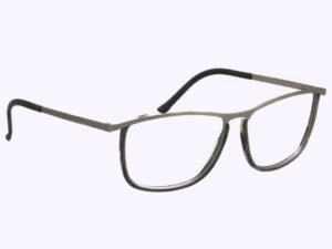 Metalic Eyeglass